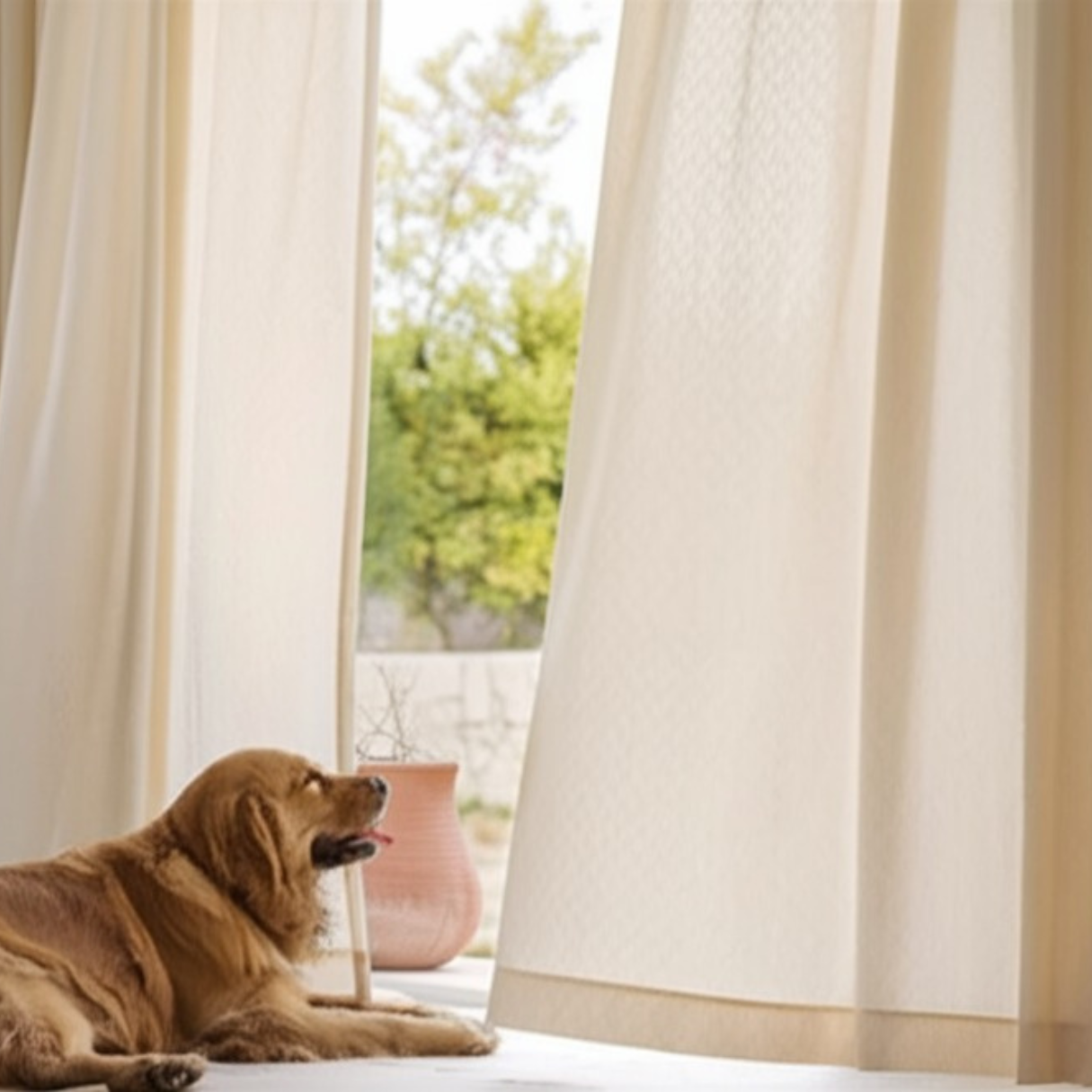 SCULPTED LATTICE VEIL Sheer Curtains - Beige